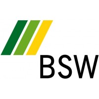 BSW - качественные виброизоляционные материалы